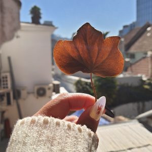 LLEGÓ MARZO… y el otoño lo sabe: Recomendaciones para este cambio de estación!