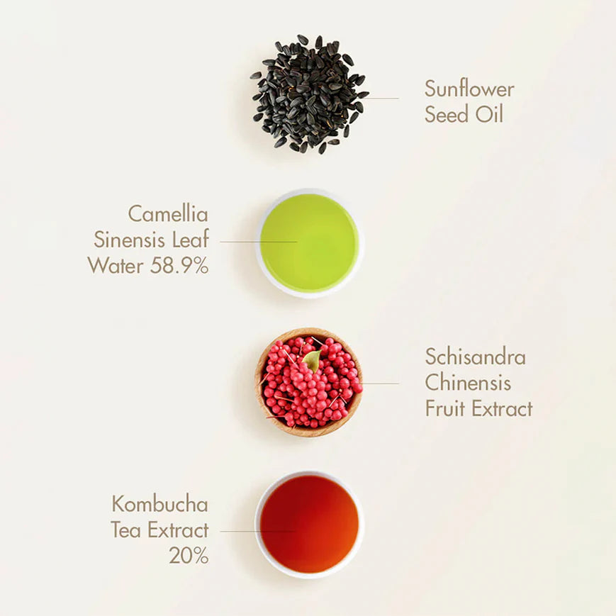 DR CEURACLE Vegan Kombucha Beginning Set Crema + Esencia